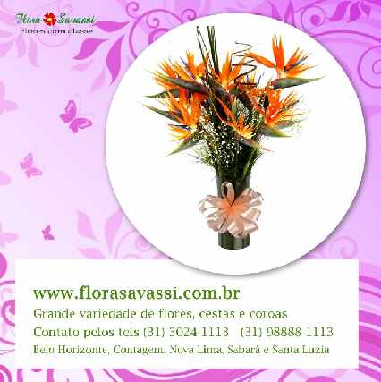 Foto 1 - Condominio nova lima mg flores cesta de café