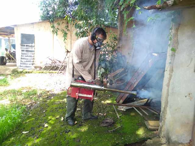 Dedetizaçao com termonebulizacao
